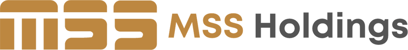 MSS Holdings